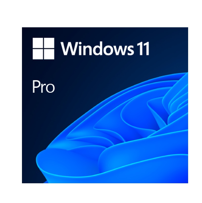 Sistema Operativo Microsoft Windows 11 Pro 64-bit Spanish LATAM OEM DVD / FQC-10553